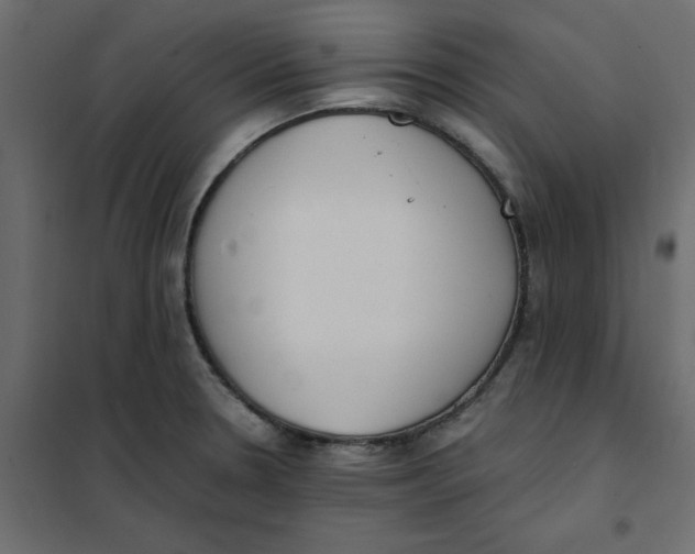 X0000102031330200808081803