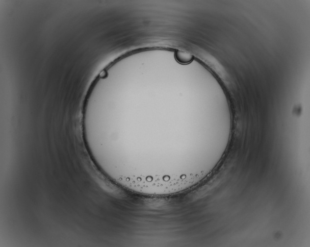 X0000102031332200808081803