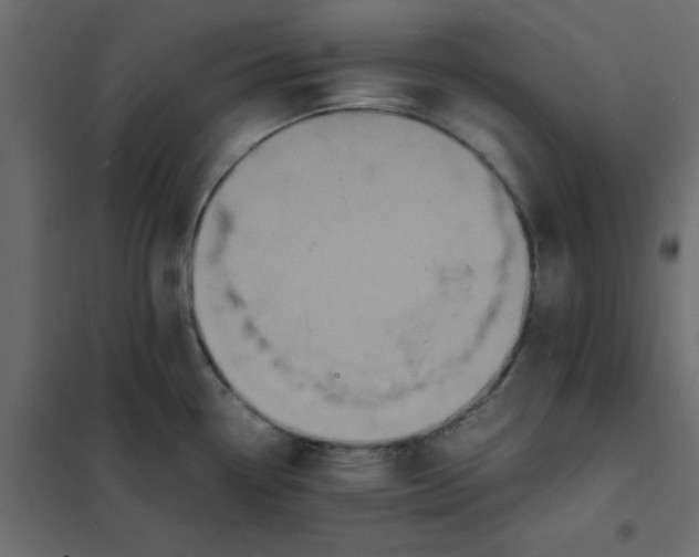 X0000102031338200808081803