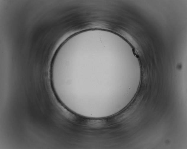 X0000102031339200808081803