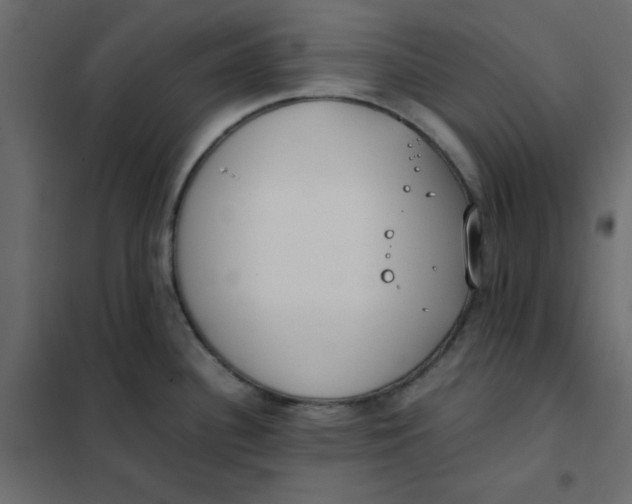 X0000102031340200808081803