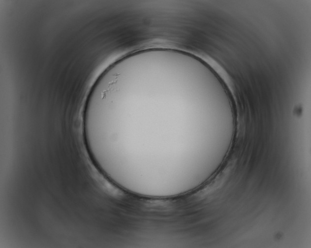 X0000102031341200808081803