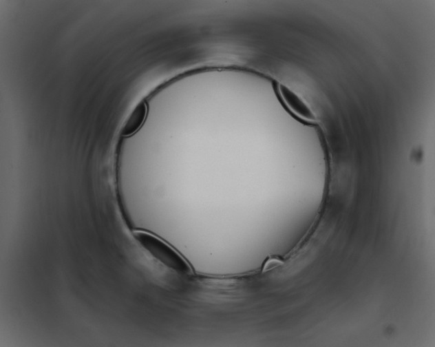 X0000102031342200808081803