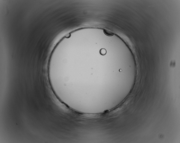 X0000102031344200808081803