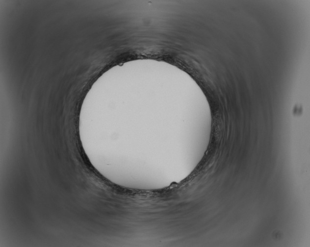 X0000102031345200808081802