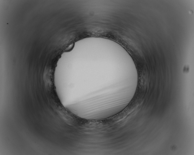 X0000102031346200808081802