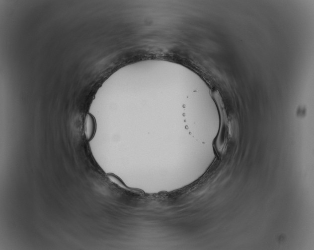 X0000102031347200808081802