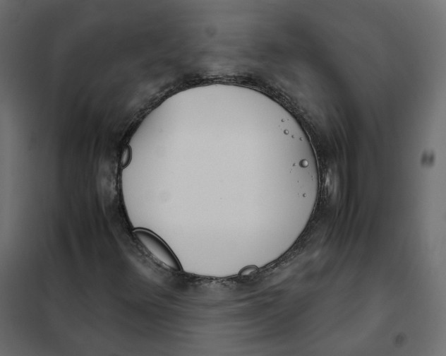 X0000102031348200808081802