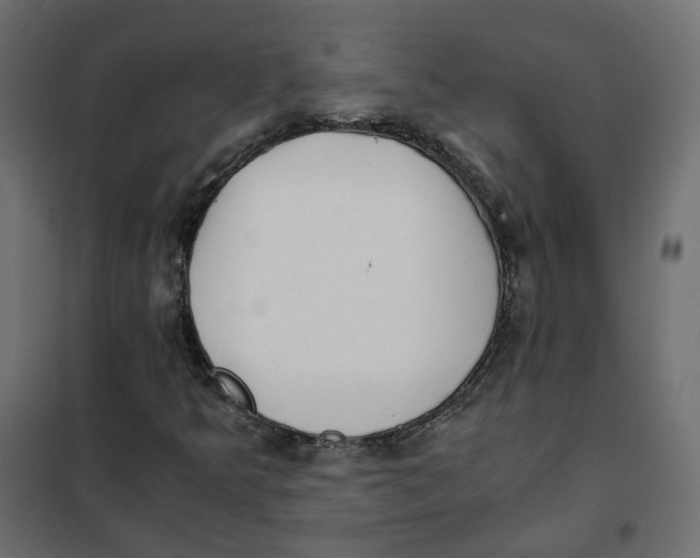 X0000102031349200808081802