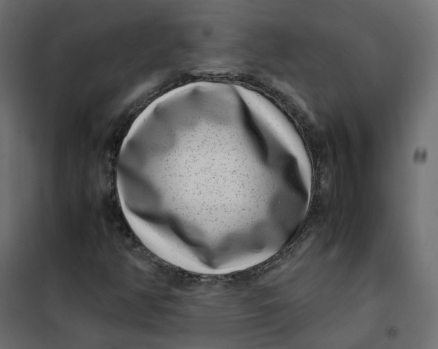 X0000102031350200808081802