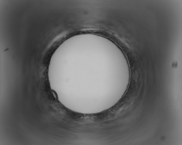 X0000102031351200808081802