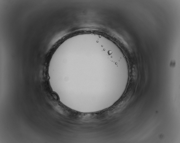 X0000102031352200808081802