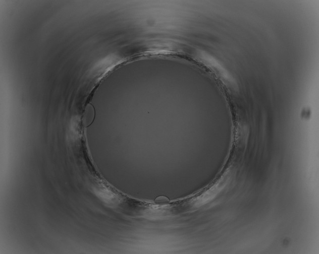 X0000102031353200808081802