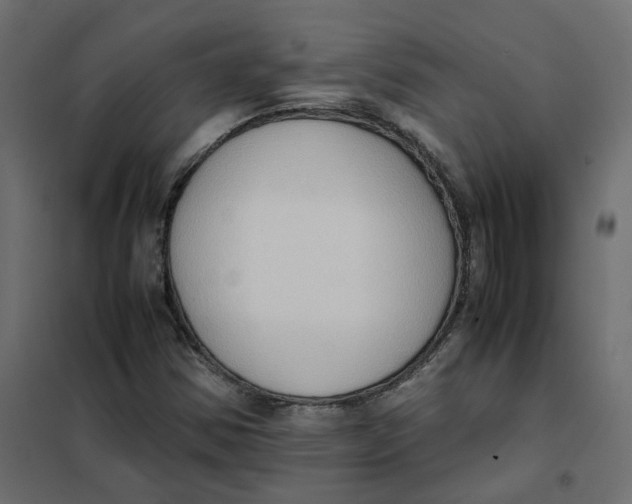 X0000102031354200808081802