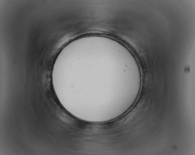 X0000102031355200808081802