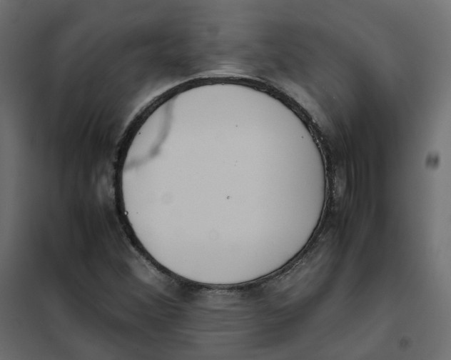 X0000102031356200808081802