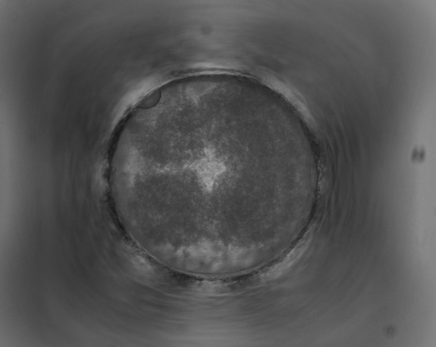 X0000102031357200808081802