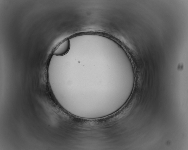 X0000102031358200808081802