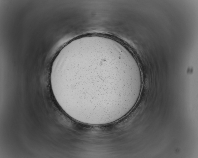 X0000102031359200808081802