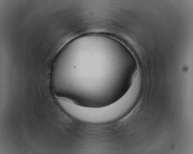 X0000102031361200808081802