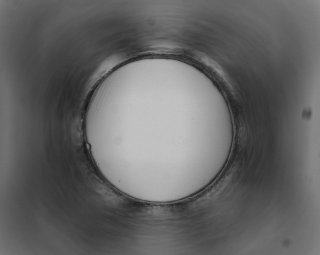 X0000102031362200808081802