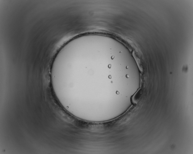 X0000102031363200808081802