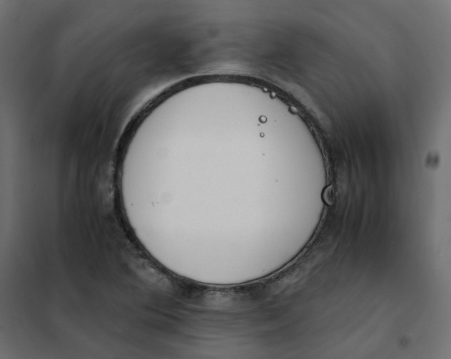 X0000102031364200808081802