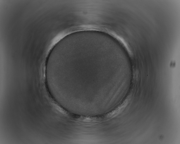 X0000102031365200808081802