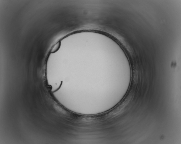 X0000102031366200808081802