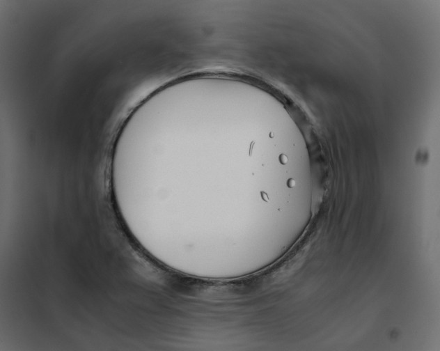 X0000102031367200808081802