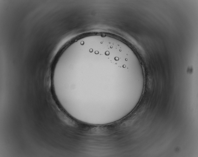 X0000102031368200808081802