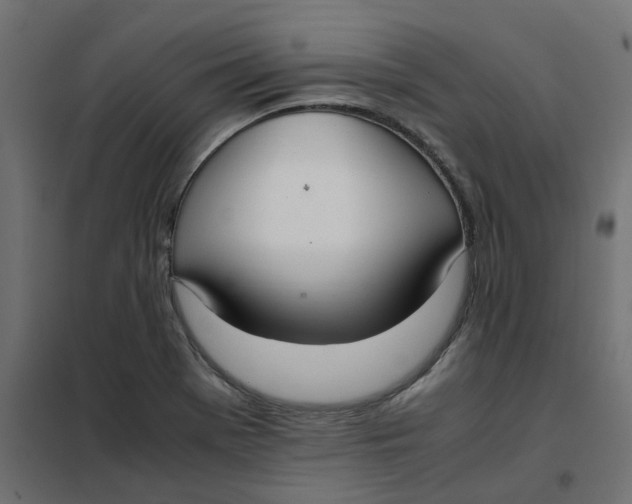 X0000102031369200808081802