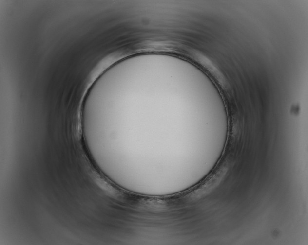 X0000102031370200808081802