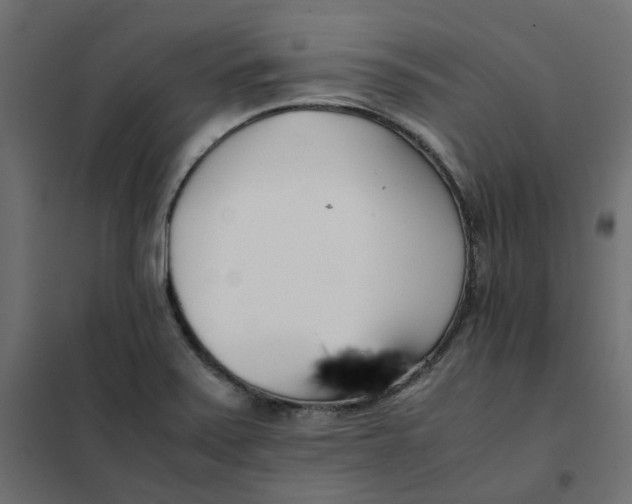 X0000102031371200808081802