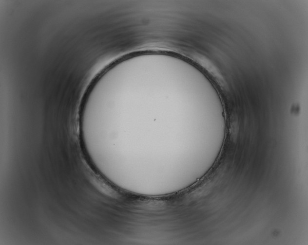 X0000102031372200808081802