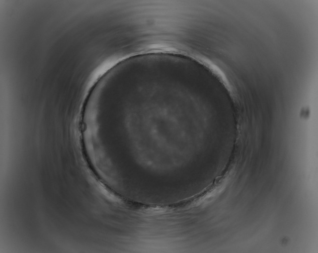 X0000102031373200808081802