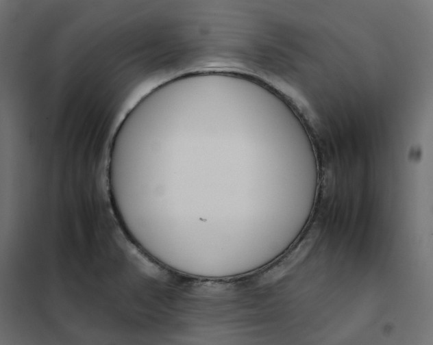 X0000102031374200808081802