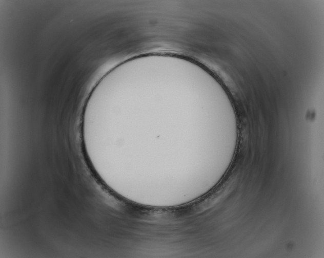 X0000102031375200808081802