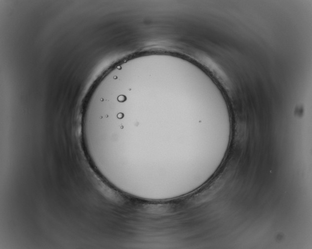 X0000102031376200808081802