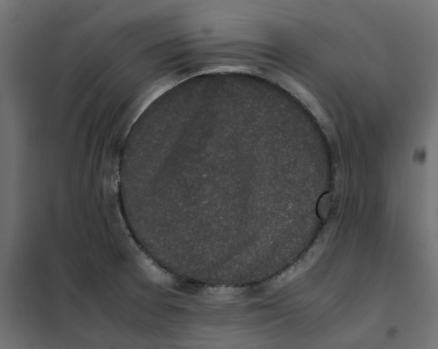 X0000102031377200808081802