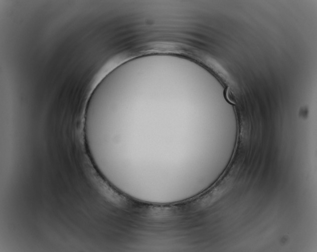 X0000102031378200808081802