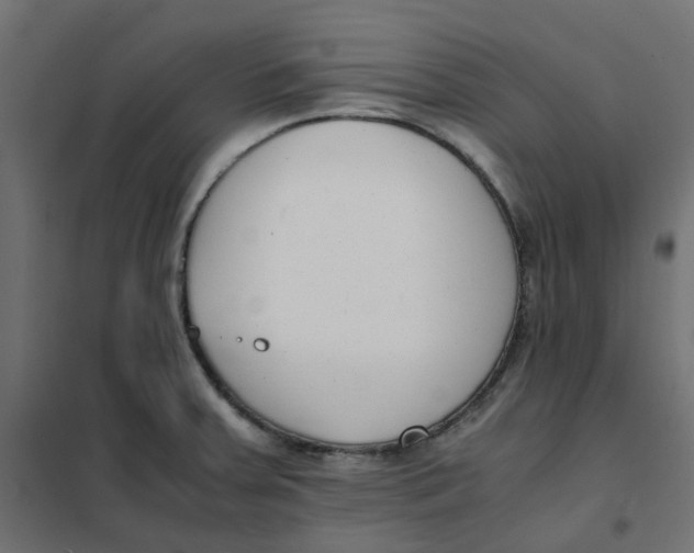 X0000102031379200808081802