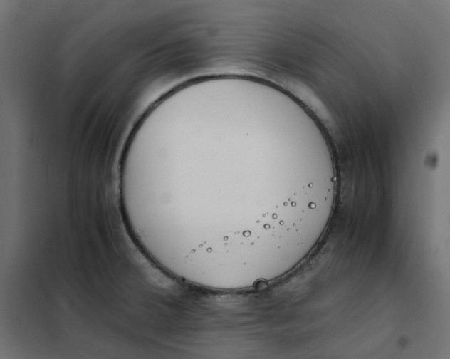 X0000102031380200808081802