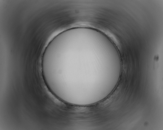 X0000102031382200808081802