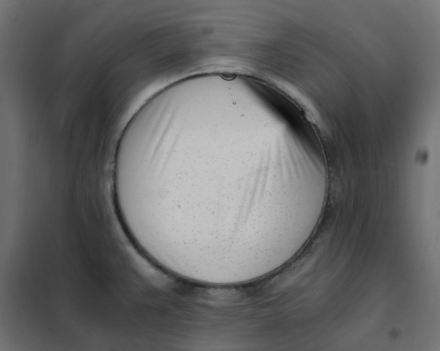 X0000102031383200808081802