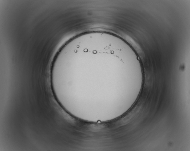 X0000102031384200808081802