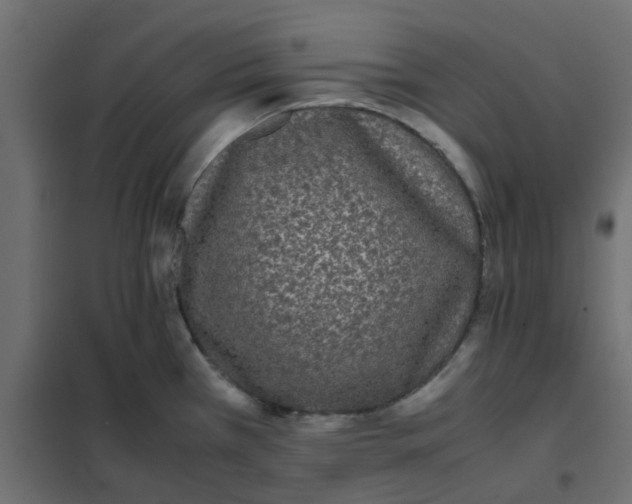 X0000102031385200808081802