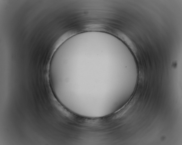 X0000102031386200808081802