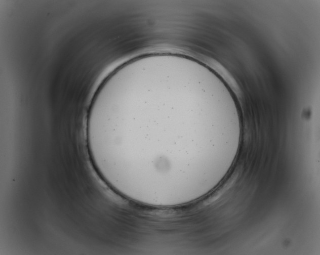 X0000102031388200808081802