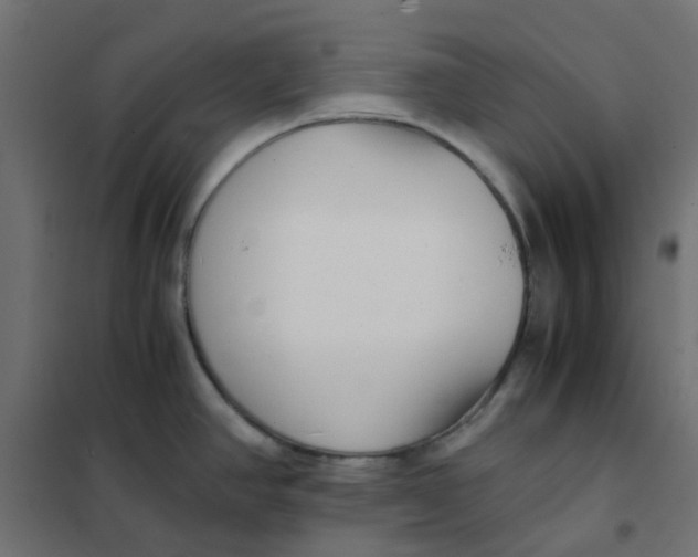 X0000102031390200808081802